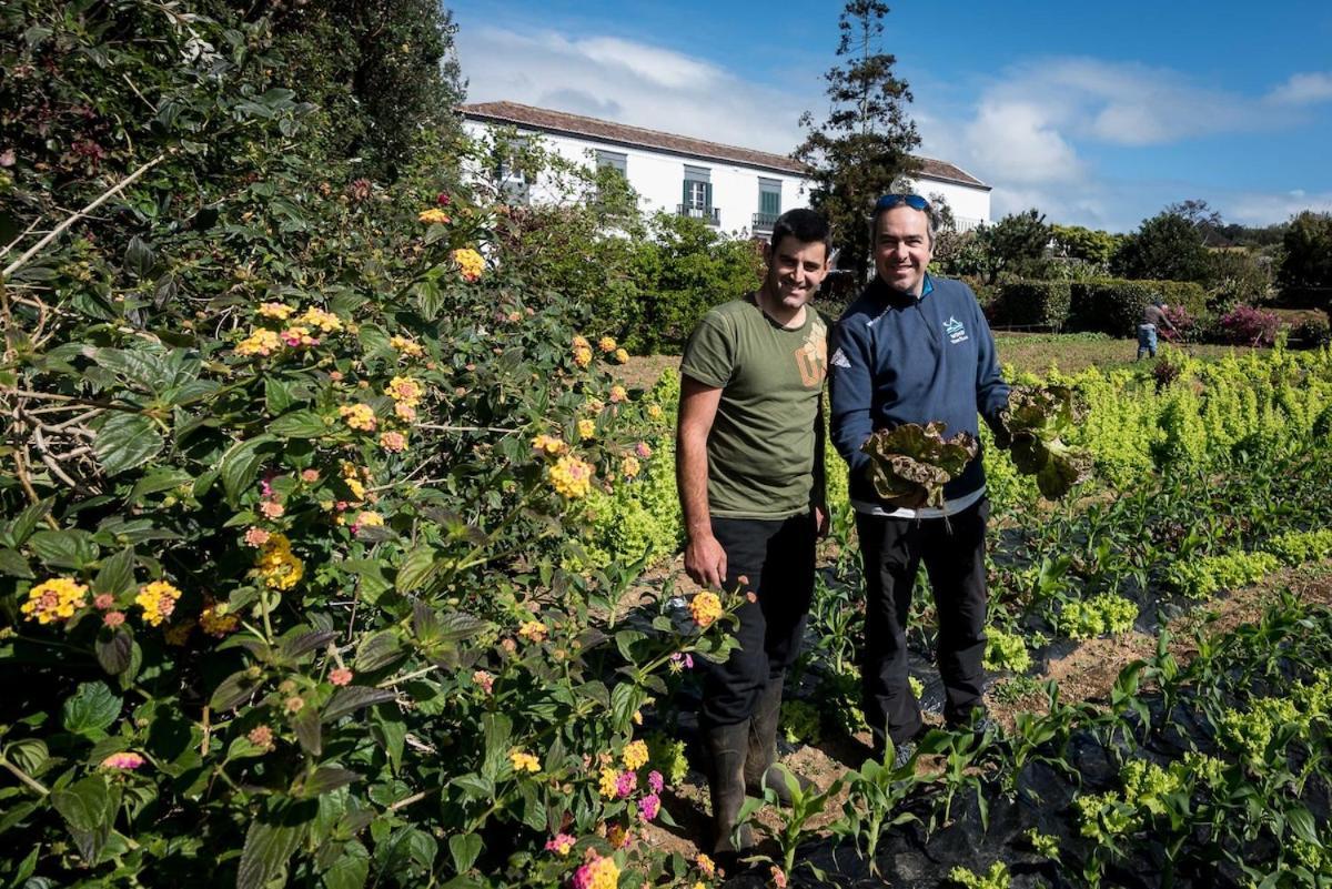 Villa Quinta Do Solar Ponta Delgada Esterno foto